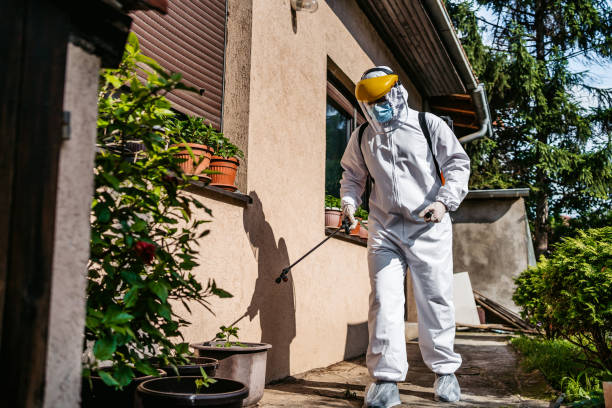 Best Best Pest Control Near Me  in Line Acres, MO
