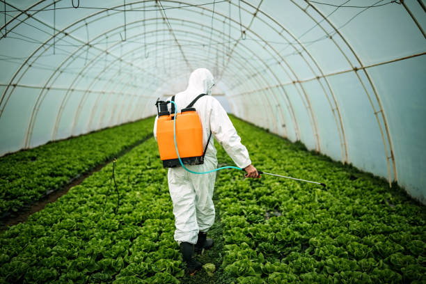 Best Affordable Pest Control Services  in Line Acres, MO