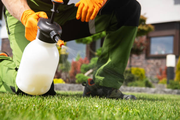  Line Acres, MO Pest Control Pros