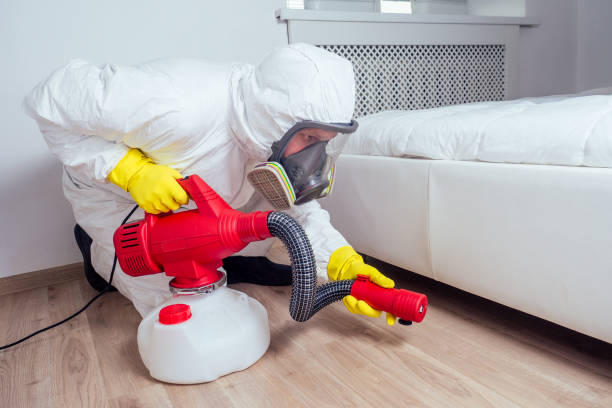 Best Ant Control Services  in Line Acres, MO