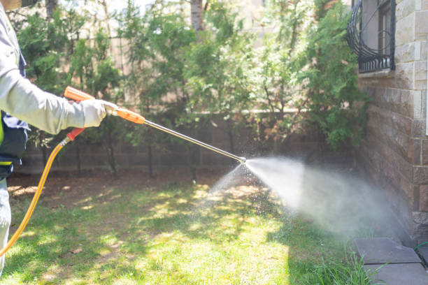 Best Local Pest Control Services  in Line Acres, MO