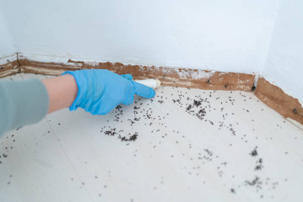 Best Exterminator Services  in Line Acres, MO