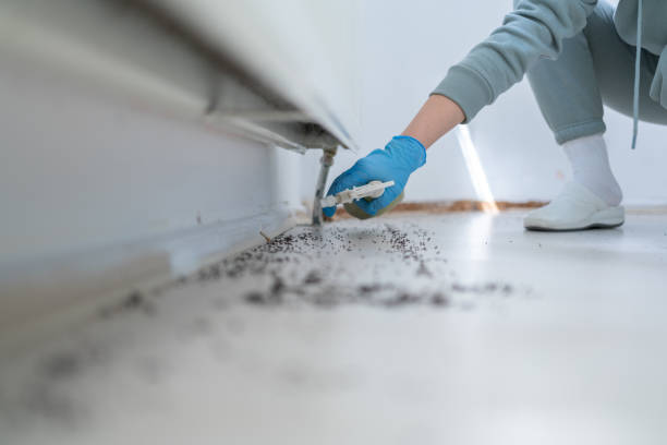 Best Cockroach Control Services  in Line Acres, MO