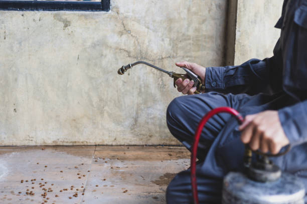 Pest Prevention Services in Moline Acres, MO