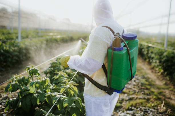 Best Mosquito Control Services  in Line Acres, MO